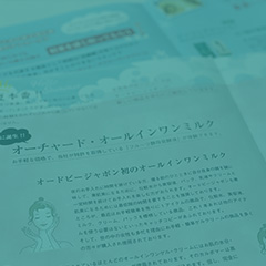 Pamphlet